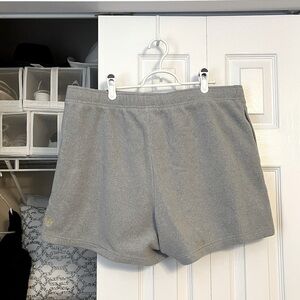 Aritzia Golden Polar Fleece Shorts